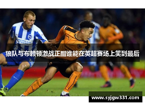 狼队与布赖顿激战正酣谁能在英超赛场上笑到最后