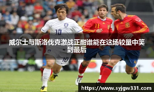 三亿威尔士与斯洛伐克激战正酣谁能在这场较量中笑到最后